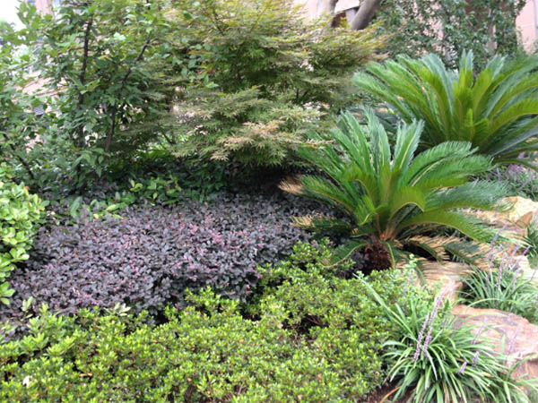 PG电子游戏的愿景与理想